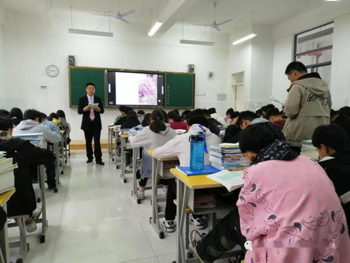 信息技术服务学部公开课教研精雕细琢，赋能职业教育咨询新高度——记蒙城县职业教育中心教研活动